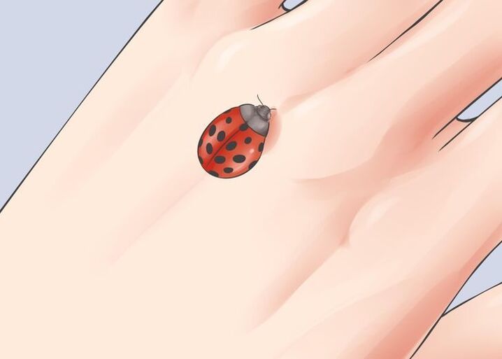 ladybug როგორც წარმატებული talisman
